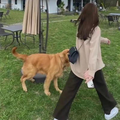 小甘罗拜相粤语